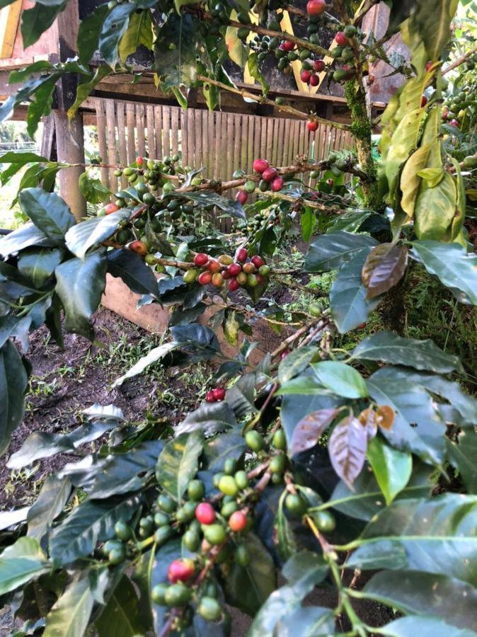 Alojamiento Rural Jardin Consentido Eksteriør billede