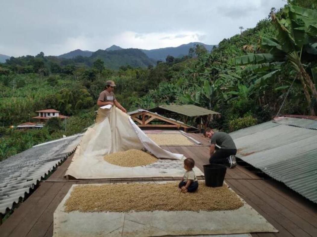 Alojamiento Rural Jardin Consentido Eksteriør billede