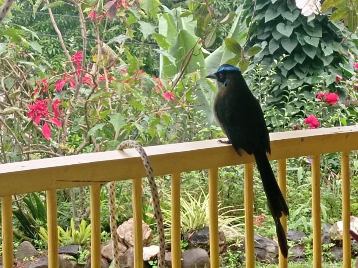 Alojamiento Rural Jardin Consentido Eksteriør billede