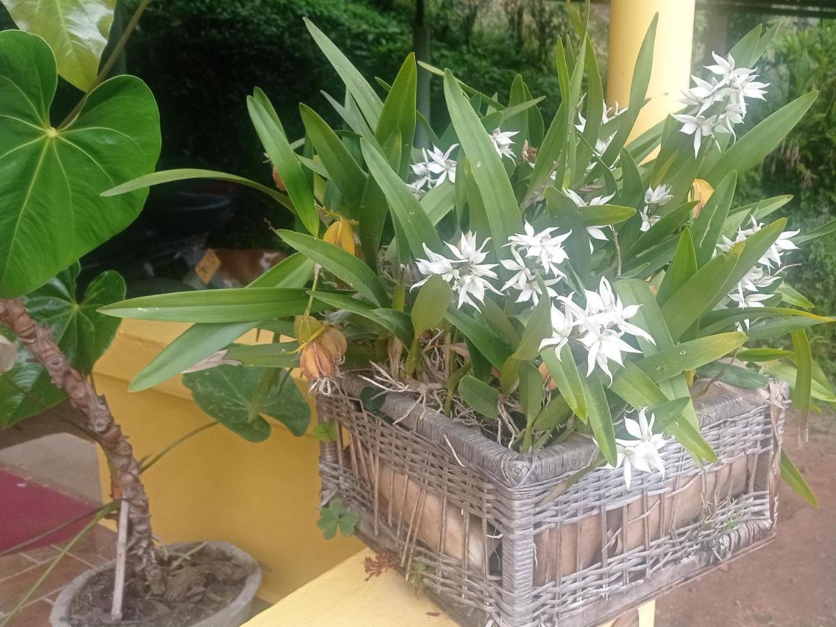 Alojamiento Rural Jardin Consentido Eksteriør billede