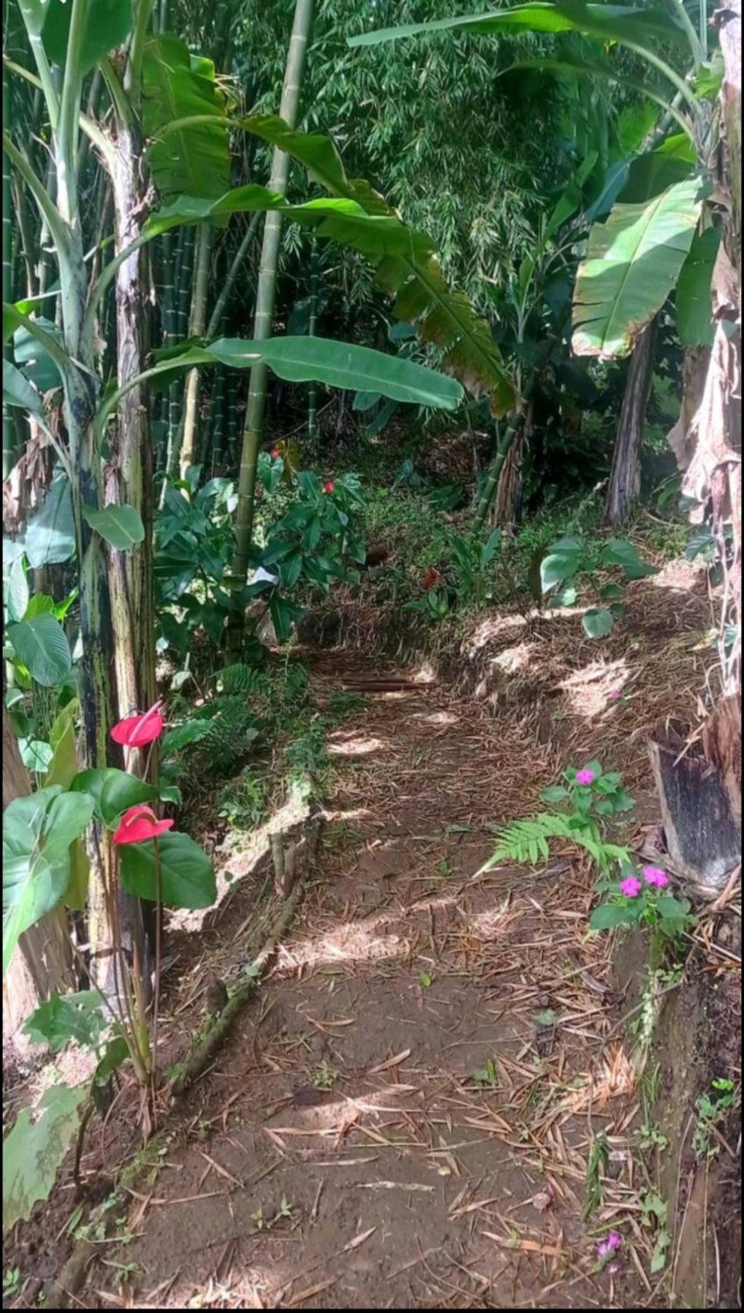 Alojamiento Rural Jardin Consentido Eksteriør billede