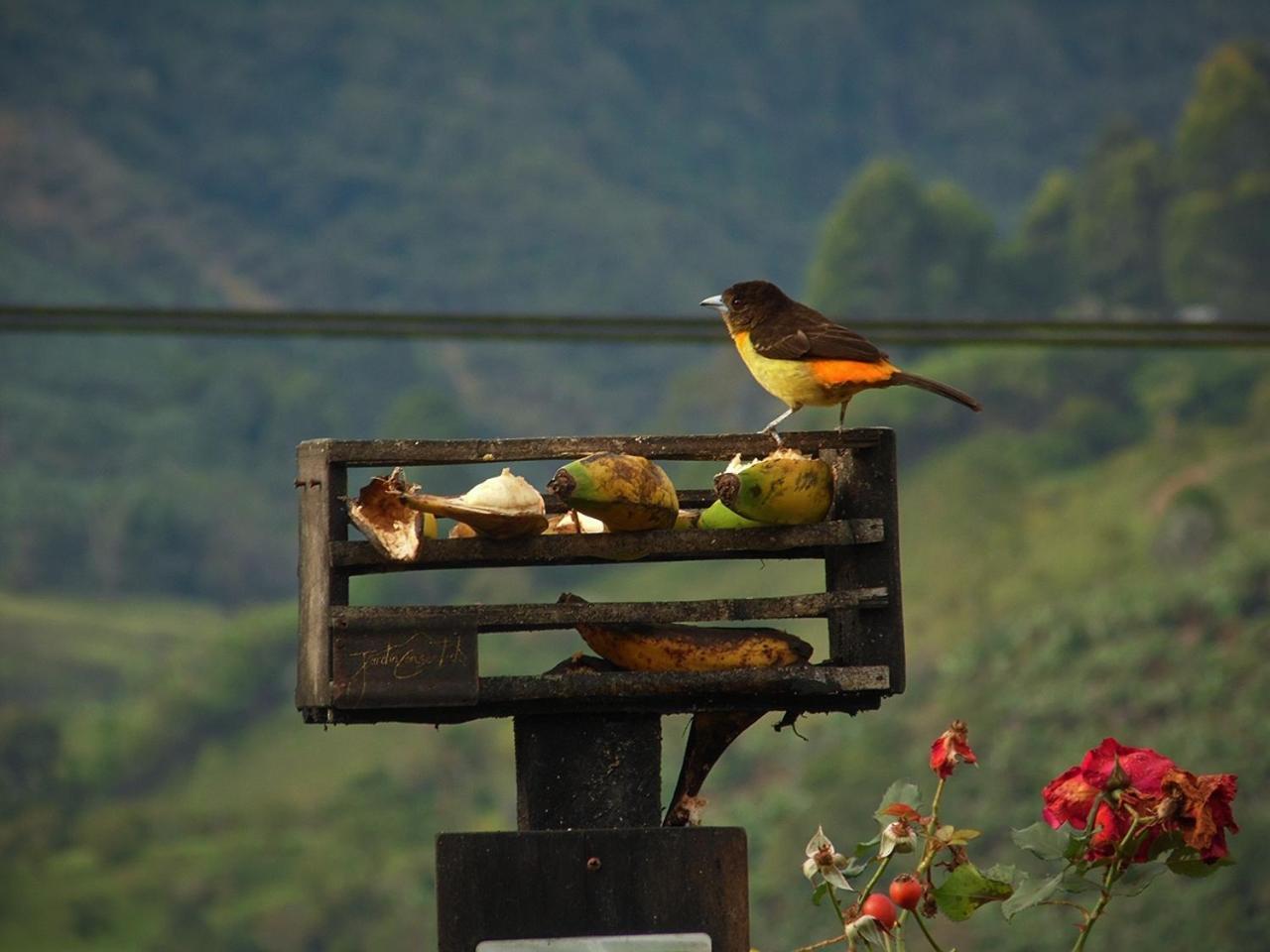 Alojamiento Rural Jardin Consentido Eksteriør billede