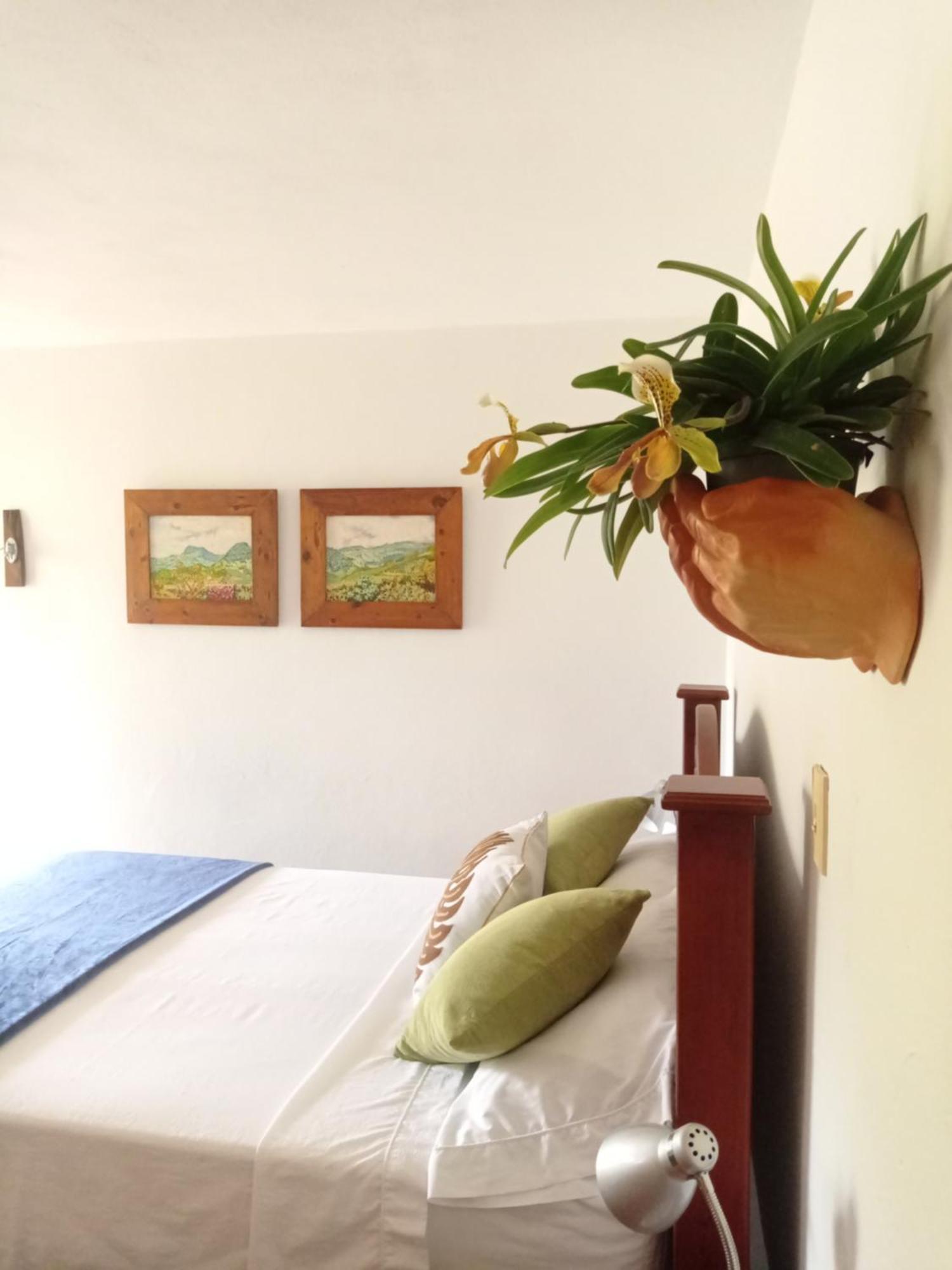 Alojamiento Rural Jardin Consentido Værelse billede