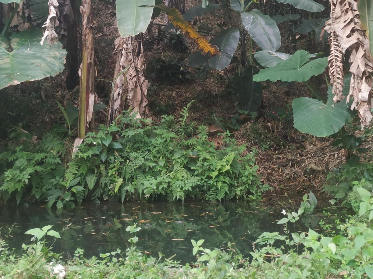 Alojamiento Rural Jardin Consentido Eksteriør billede